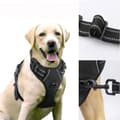 Hundsele för promenader L L
