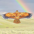Miniatyrbillede 10 af 10: Flat Eagle Kite Bird Kites TYPE C TYPE C Type C