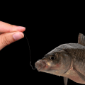 Miniatyrbilde 10 av 10: 12 stk/pakke fiskekrok Automatisk vippefiskekrok 3 3