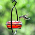 Miniatyrbillede 6 af 10: Hummingbird Feeder Fugle Vand Feeder SORT black