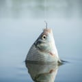 Miniatyrbilde 4 av 10: 12 stk/pakke fiskekrok Automatisk vippefiskekrok 3 3