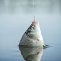 Miniatyrbilde 4 av 10: 12 stk/pakke fiskekrok Automatisk vippekrok 7 7