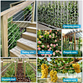 Pikkukuva 3 / 8: Wire Trellis Kit Kaapelit Vaijerisarja String Light Ripustussarja