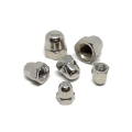 Miniatyrbillede 4 af 7: 170 stk. Acorn Cap Nuts Kuppel Cap Nuts Hex Nuts Sortimentssæt