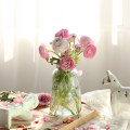 Miniatyrbillede 7 af 10: Glasvase Hydroponic Plant Vase 09 09 09
