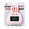 Miniatyrbillede 8 af 10: Digital Timer Countdown-Timer 01 01 01