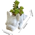 Miniatyrbilde 2 av 5: Sukkulent Planter Pot Plantepotter Fransk Bulldog Form