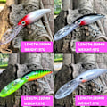 Miniatyrbilde 7 av 10: Minnow Baits lokker C C C