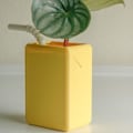 Pikkukuva 5 / 10: Juice Box Kukkaruukku Kukkaruukun koristelu HAMI MELON HAMI MELON Hami melon