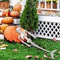 Miniatyrbild 6 av 7: Halloween Mermaid Skelett Mermaid Bones Prop Halloween