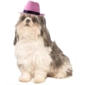 Pikkukuva 7 / 10: Lemmikkikoira Cowboy Hattu Koiran lippalakit RUSKEA Brown