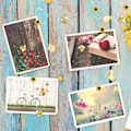 Pikkukuva 4 / 6: Push Pins Thumb Tacks Piirustus Pins