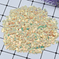 Miniatyrbild 1 av 10: 100g/Pack Iridescent Shining Shell Shell Paljetter APRIKOS APRIKOS Apricot