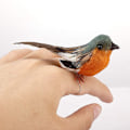 Pikkukuva 3 / 9: 12 kpl Artificial Bird Xmas Ornament Christmas Tree Decor
