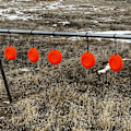 Pikkukuva 4 / 9: 30 kpl Clay Target -pidike Savikyyhkyn koukut Savitarrateline