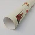 Pikkukuva 9 / 10: Pole Dancer -käärepaperi Lahjapaperi 2 2 2
