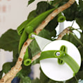 Miniatyrbillede 8 af 10: 5/10 stk. Grenholderklips Fastgørelsesklips 10 stk. 10 stk. 10pcs