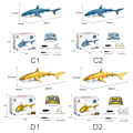 Miniatyrbilde 3 av 10: Rc Shark Toy Fjernkontroll Shark Toy A2 A2 A2