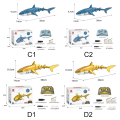 Miniatyrbilde 3 av 10: Rc Shark Toy Fjernkontroll Shark Toy C2 C2 C2