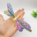 Pikkukuva 1 / 8: Aura Tourmaline Kyanite Dragonfly Butterfly ja Dragonfly C
