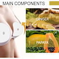 Pikkukuva 3 / 9: Breast Enhancer Patch Ginger Breast Stickers Rintakoho