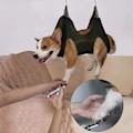 Miniatyrbillede 7 af 10: Pet Grooming Anti Scratch ARMY GREEN SET ARMY GREEN SET