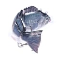 Pikkukuva 2 / 10: Minnow-kalastusuistin USB ladattava viehe JM201-3 JM201-3 JM201-3