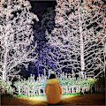 Pikkukuva 9 / 10: Power ajovalaisin LED kohdevalo KELTAINEN 32 LED HELMET 32 LED yellow 32 LED Beads-32 LED Beads