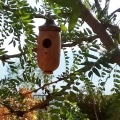 Miniatyrbillede 9 af 10: Hummingbird House Hummingbird Nest C C C