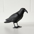 Miniatyrbilde 4 av 10: Life Size Crow Scarer Pigeon Skadedyrkontroll