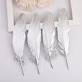 Miniatyrbillede 1 af 7: 20 STK Feathers Trims Festdekoration 2 2 2