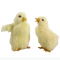 Miniatyrbillede 10 af 10: Vocalize Plys Duck Simulation Furry Duckling 4-FÆLLES 4-FÆLLES 4-Common
