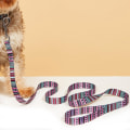Miniatyrbilde 10 av 10: Hundevalpeledning Kjæledyrsledning 3 3 3