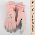 Miniatyrbillede 6 af 10: Varme Kvinder Ski Handsker Full Finger Handsker SORT black