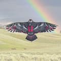 Miniatyrbilde 3 av 10: Eagle Kite Bird Kites TYPE B TYPE B Type B