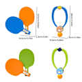 Pikkukuva 3 / 10: Riippuva pöytätenniskouluttaja Ping Pong Exercise GREEN green