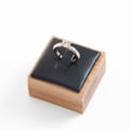 Miniatyrbillede 1 af 9: Opbevaringsstativ til smykkedisplay SORT black