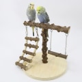 Pikkukuva 6 / 8: Bird Perch Stand Parrot Play Teline Parrot Standing Rack