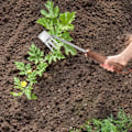 Pikkukuva 7 / 10: Garden Weeder Tool ruohonpoistoaine A A A