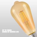 Miniatyrbild 4 av 10: LED glödlampa Vintage Bulb A60 4W A60 4W A60 4W