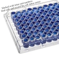 Miniatyrbilde 6 av 6: 5 stk Vevskulturplate Eksperiment Instrumentverktøy 5 STK 5 STK 5Pcs