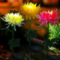 Miniatyrbillede 7 af 10: Solcellelampe Jordlys GUL Yellow