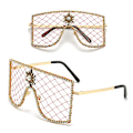 Pikkukuva 4 / 10: Rhinestone Mesh lasit Y2K aurinkolasit C04 C04 C04
