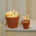Miniatyrbillede 3 af 10: DIY Tulip Potted Night Light Bordlampe PINK 20 TULIPAN FLOWER 20 Pink 20 tulip flower-20 tulip flower