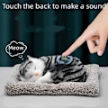 Miniatyrbillede 6 af 8: Bedårende Vocal Cat Plys Legetøj I I I