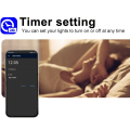 Miniatyrbillede 4 af 8: Light Strip Controller Bluetooth Dæmpbar Controller Smart