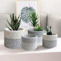 Miniatyrbilde 3 av 8: Blomsterform Blomstermønster C C C