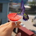 Pikkukuva 7 / 8: Hummingbird Feeder Kädessä pidettävät vedensyöttölaitteet RED Red