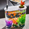 Miniatyrbillede 7 af 10: Goldfish Bowl Goldfish Tank 2 2 2