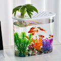 Pikkukuva 6 / 10: Goldfish Bowl Goldfish Tank 2 2 2